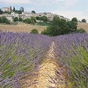 https://le-gite-de-dedee.fr-provencehotel.com